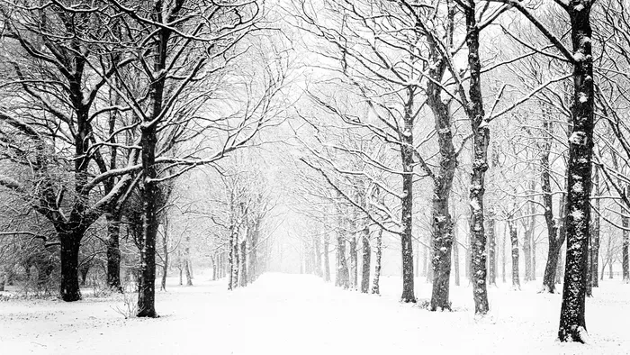 Lehullott a hó Bánkúton! - varázslatos a látvány