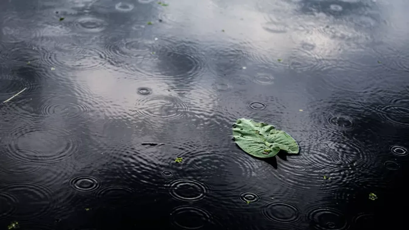 Esővel indít a tavasz! Nem árt felkészülni