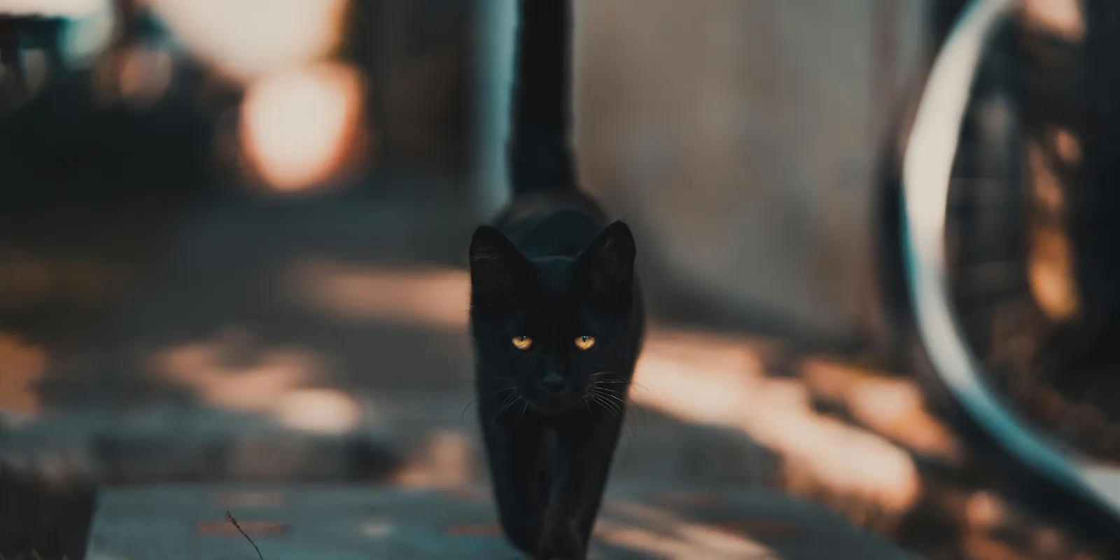 Leleplezte a péntek 13. titkát a magyar főboszorkány