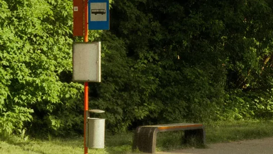 "Ott feküdt a földön. Már nem lélegzett" - Holtan találta meg lányát egy édesanya a buszmegállóban