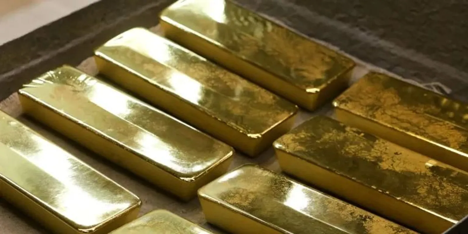 Lecsapott a NAV: 7 ukrán állampolgárt vettek őrizetbe