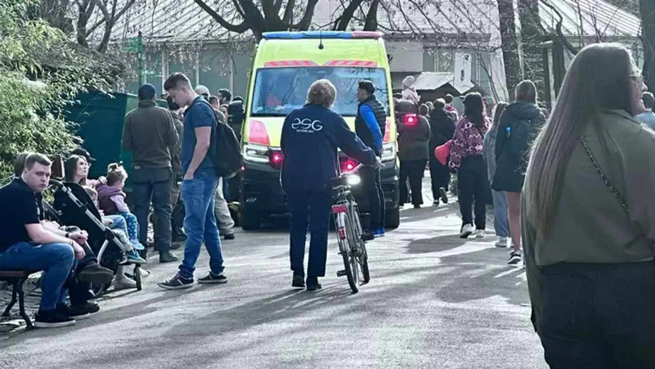 Hajmeresztő, miért kellett mentőt hívni a magyar gyerekekhez