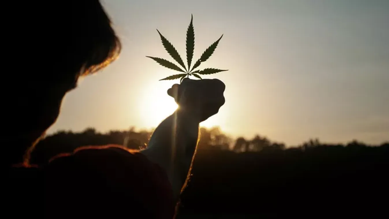 Depressziót és szorongás okoz a marihuánafogyasztás