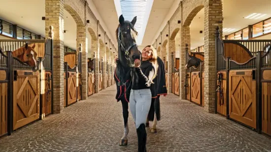 Porsche-név, magyar szív? Diana döntése felkavarta a magyar lovas világot