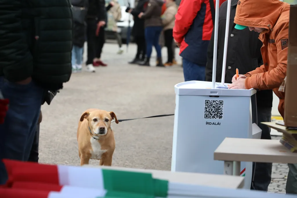 Orbán Viktor Országjárás Veszprém 2026.03.27.