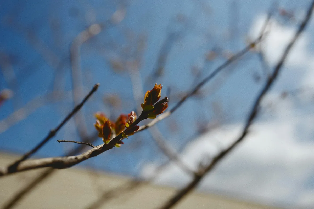 Ezt tartogatja az időjárás