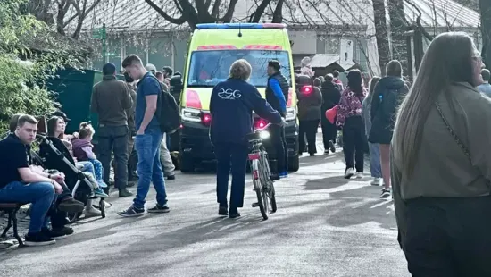 Hajmeresztő gyerekcsínyek: az egyiket WC-ülőkével a nyakában vitték kórházba, a másik a Fővárosi állatkertben szorult be