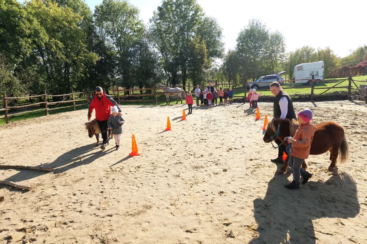 Azt szeretnék elérni, hogy több iskolában és óvodában is jelen legyenek az állatasszisztált pedagógiával