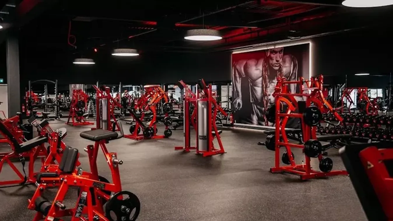 Németország: szír migráns tört be egy konditerembe, majd fajtalankodni kezdett a futópaddal