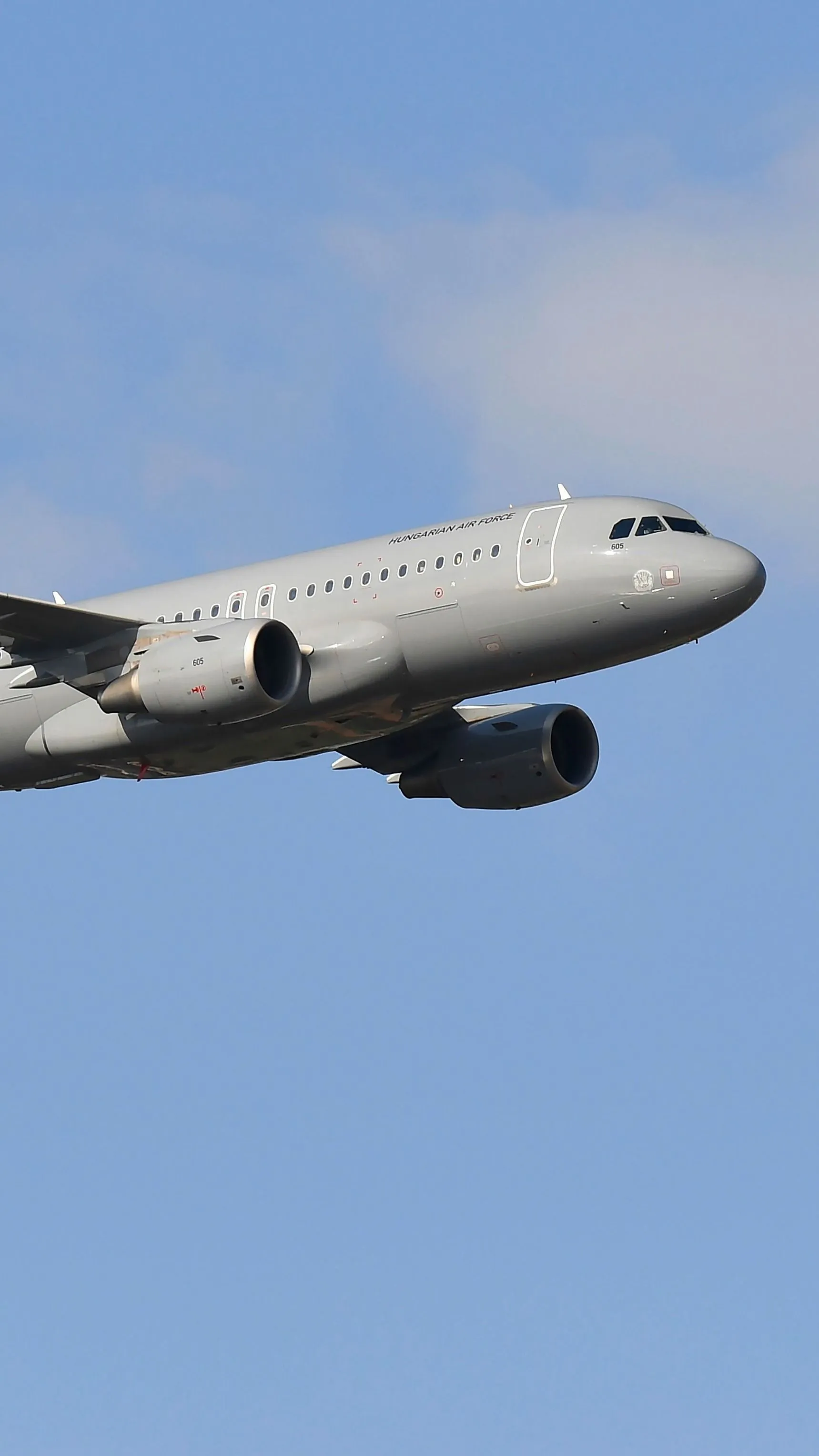 Ez a férfi egy Boeing utasszállítót ásott el a kertjében