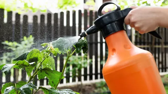 Máris támadnak a levéltetvek, ettől a trükktől meghátrálnak