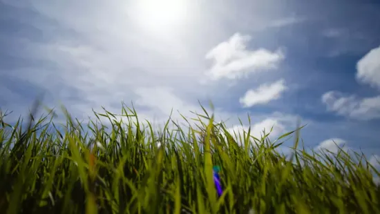 Kellemes húsvéti napsütéssel indul az ünnep, de a jövő hét közepére lehűlés érkezik