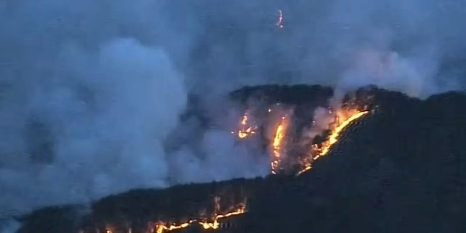 Öt napja küzdenek az erdőtüzek megfékezésével a tűzoltók