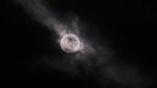 Szegedi Erika: Sorsszerű égi jelenség rendezi át a szívügyeket – ez a csillagjegy örülhet a legjobban