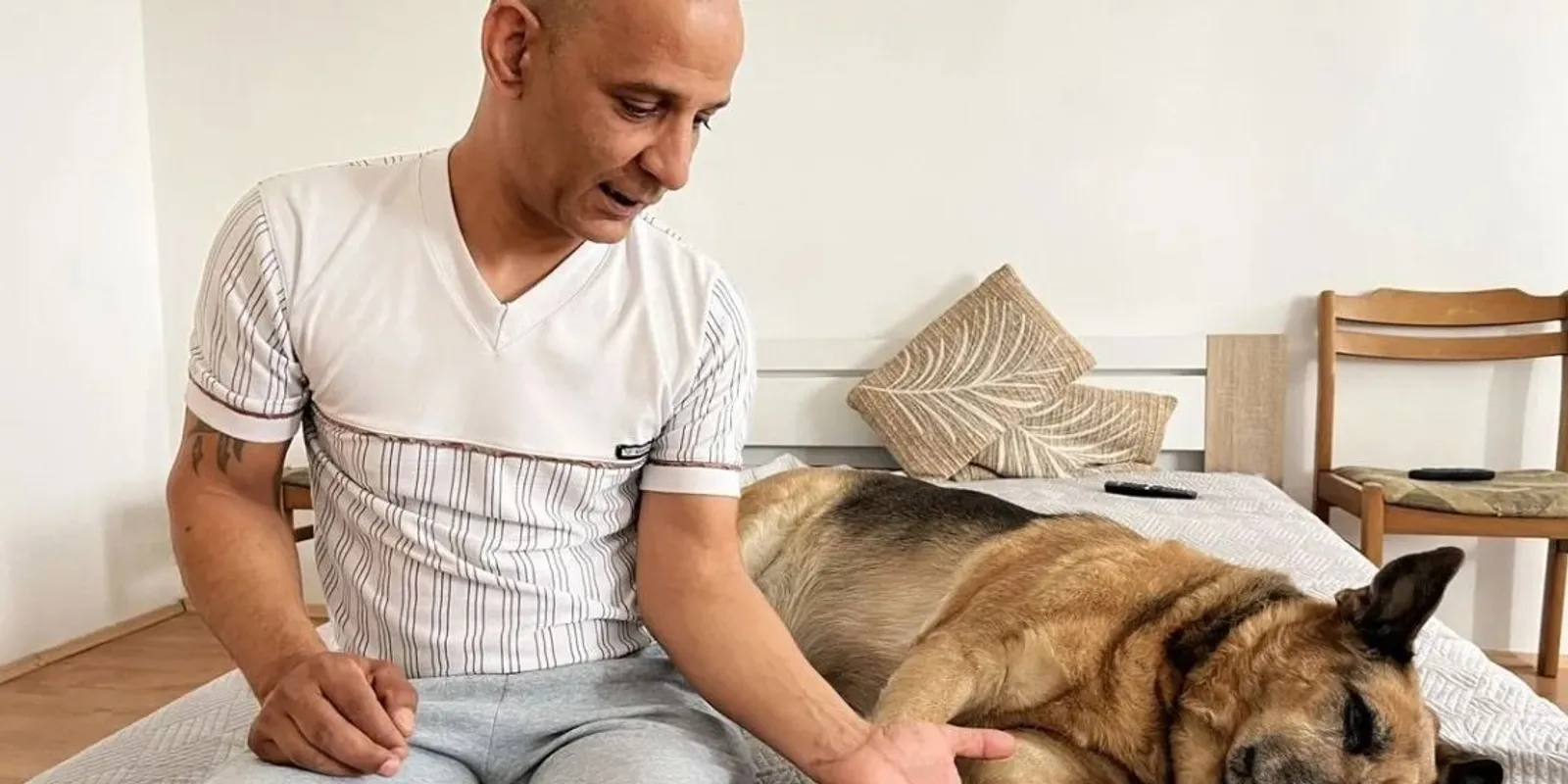 Bajban van a hűség mintaképe, Letti kutya