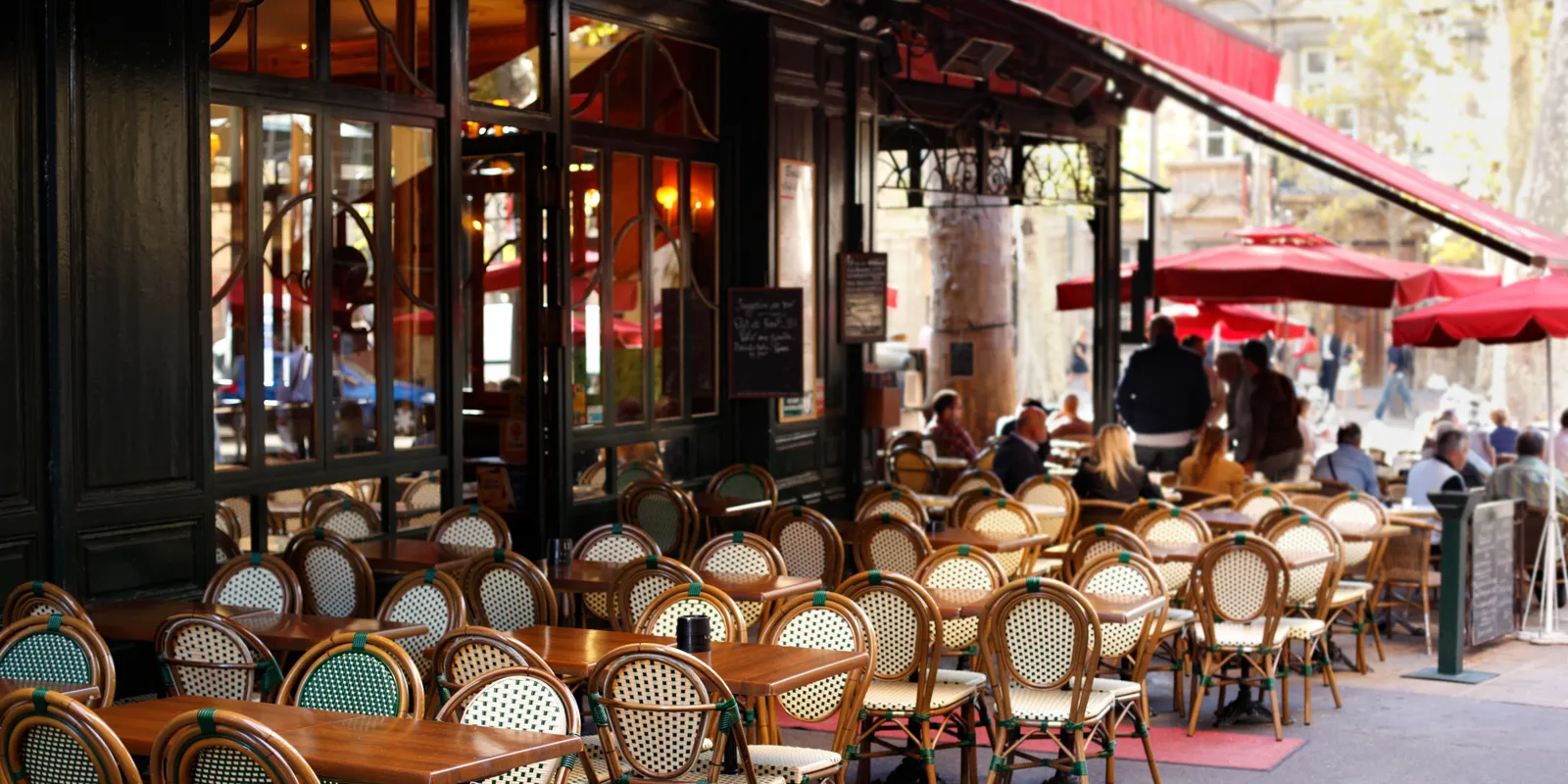 Patkányinvázió és penész: egy szakértő legdurvább esetei