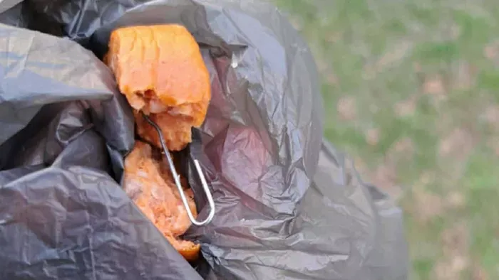 Lincshangulat Dunaújvárosban: „Le kellene nyomni a kínzó torkán!”