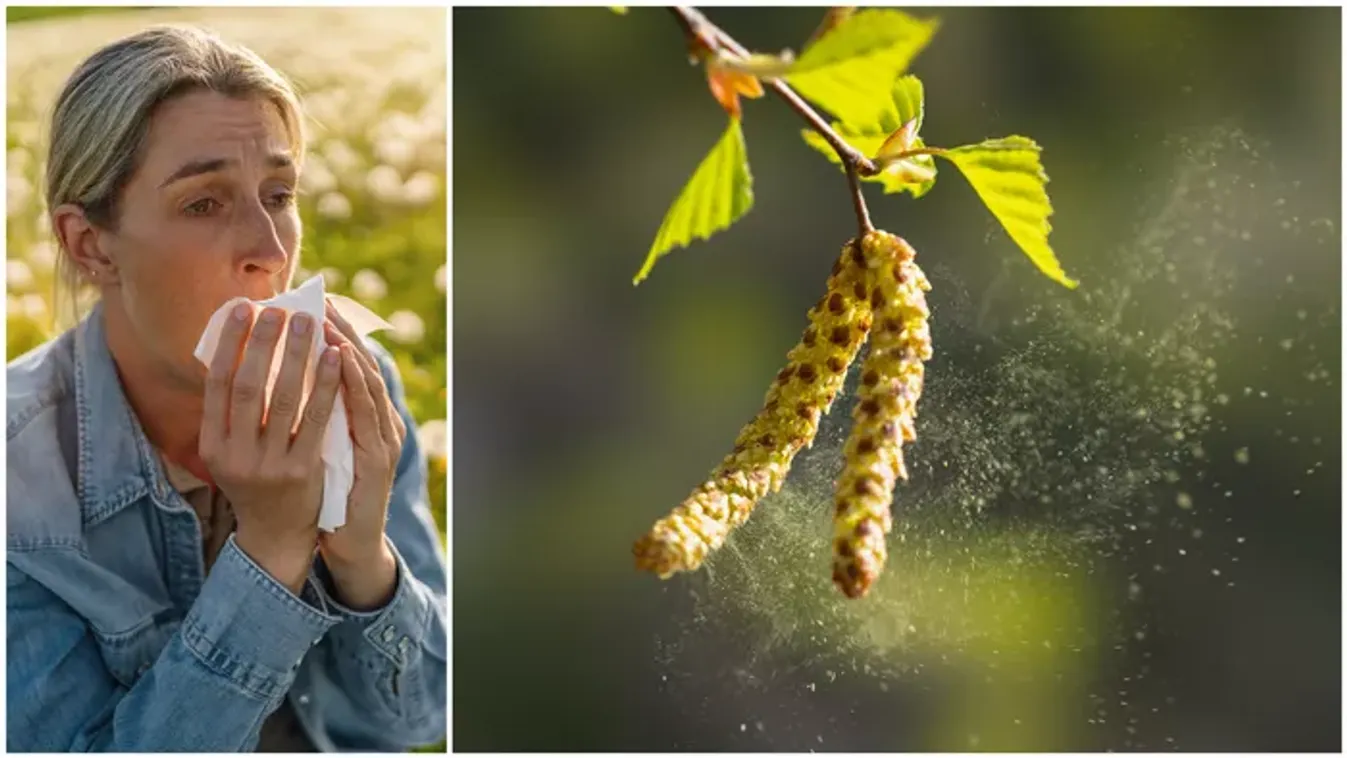 Pollen riadó: Magyarországnak ezt a részét teljesen ellepte a virágpor