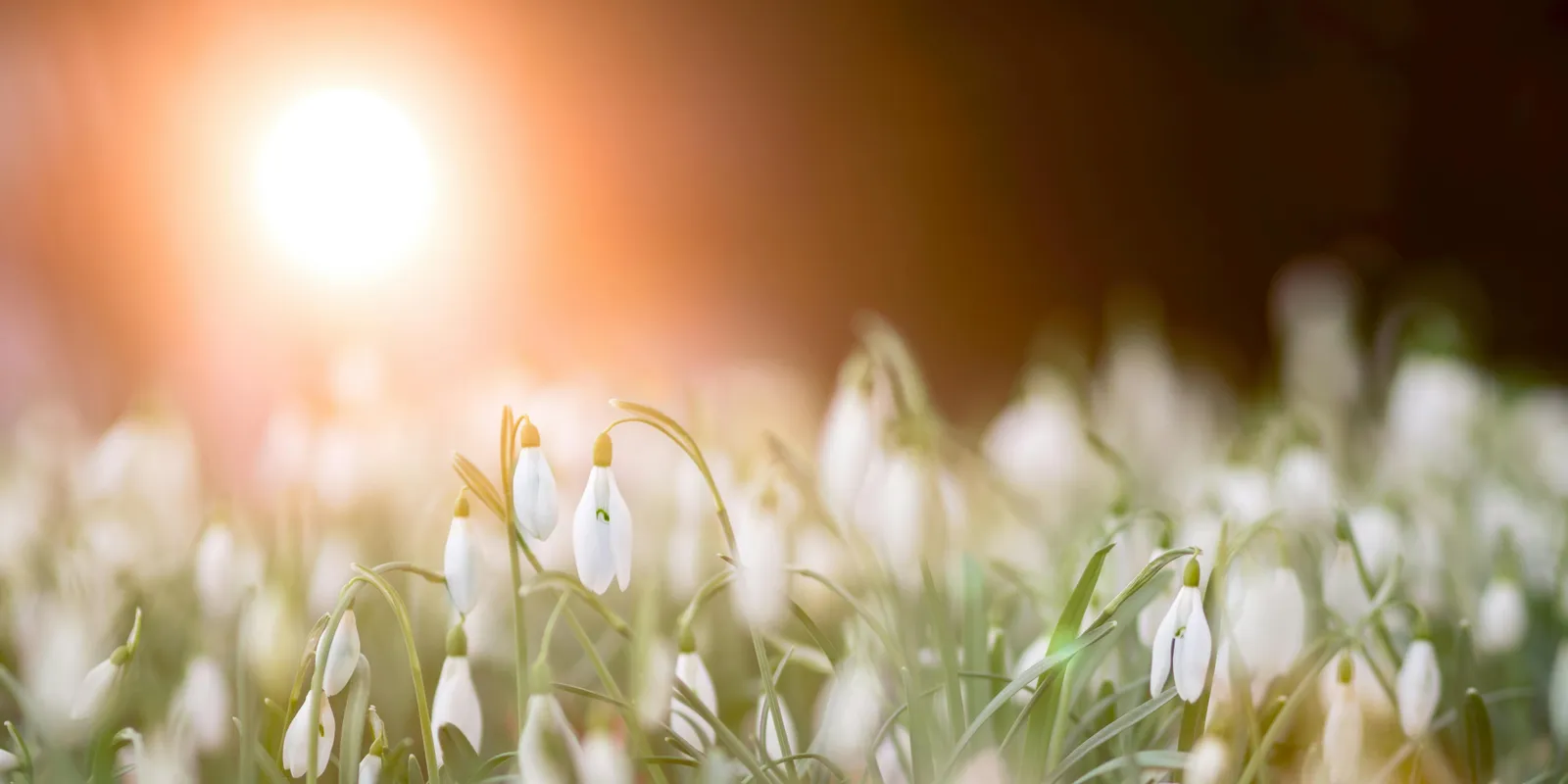 Brutális napsütéssel robban be a húsvéti hosszú hétvége