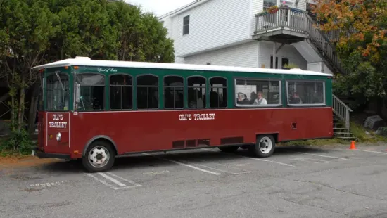 A lovaskocsitól a kábel nélkül suhanó szuperbuszokig, retró képekben a troli története