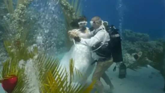 "12 év közös búvárkodás után ez tűnt tökéletesnek" - Víz alatt mondta ki az igent a házaspár