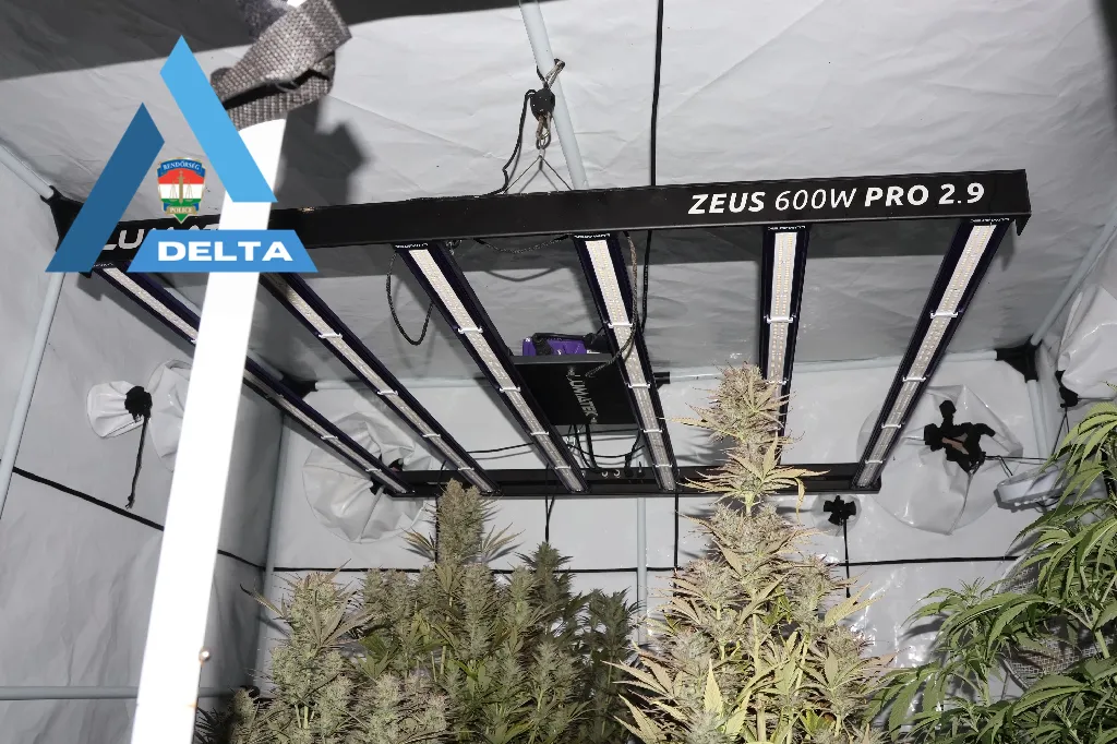 Lebukott a 31 éves díler.