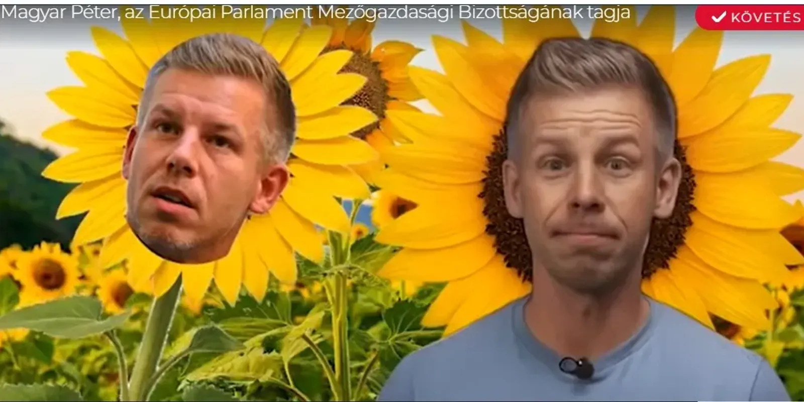 Tudatosan akarja tönkretenni a gazdálkodókat Magyar Péter