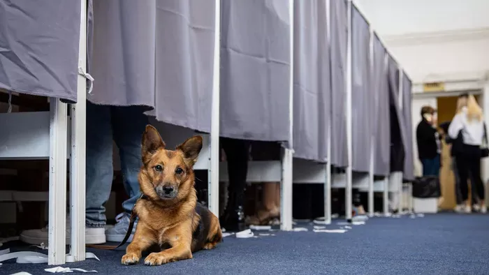 Bombariadó miatt Pécsen és Miskolcon is felfüggesztették a szavazást