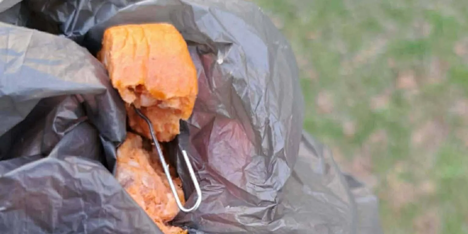 Lincshangulat Dunaújvárosban: „Le kellene nyomni a kínzó torkán!”