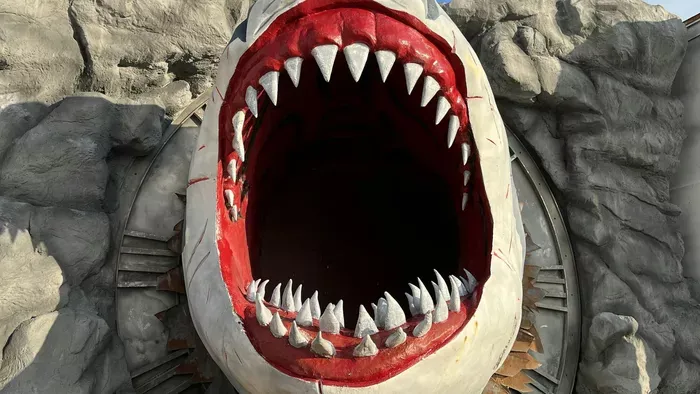 Vérfagyasztó: fehér cápát hagytak magára egy állatparkban