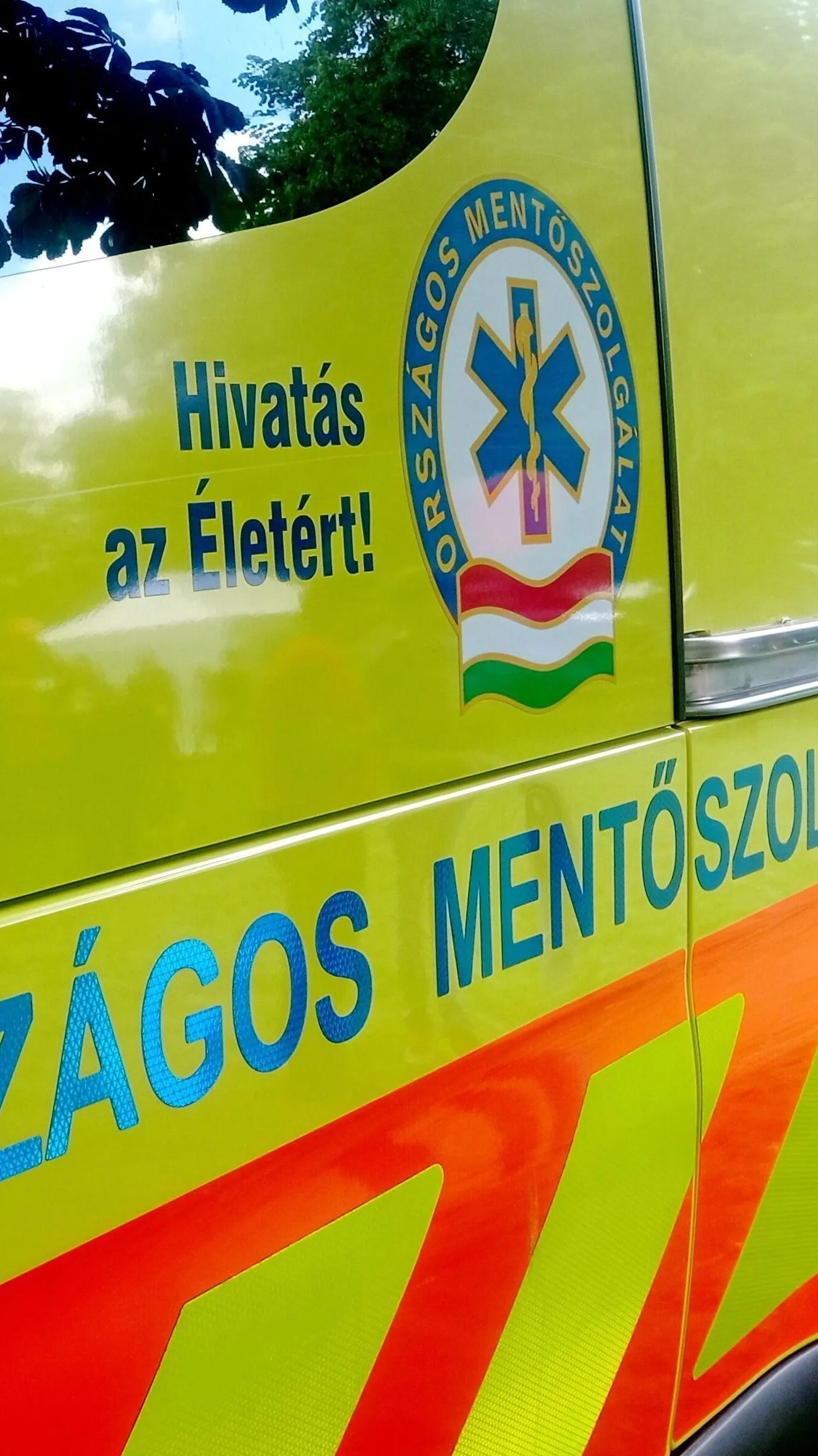 Amikor a 10 éves öcséd hidegfejűbb, mint a legtöbb felnőtt