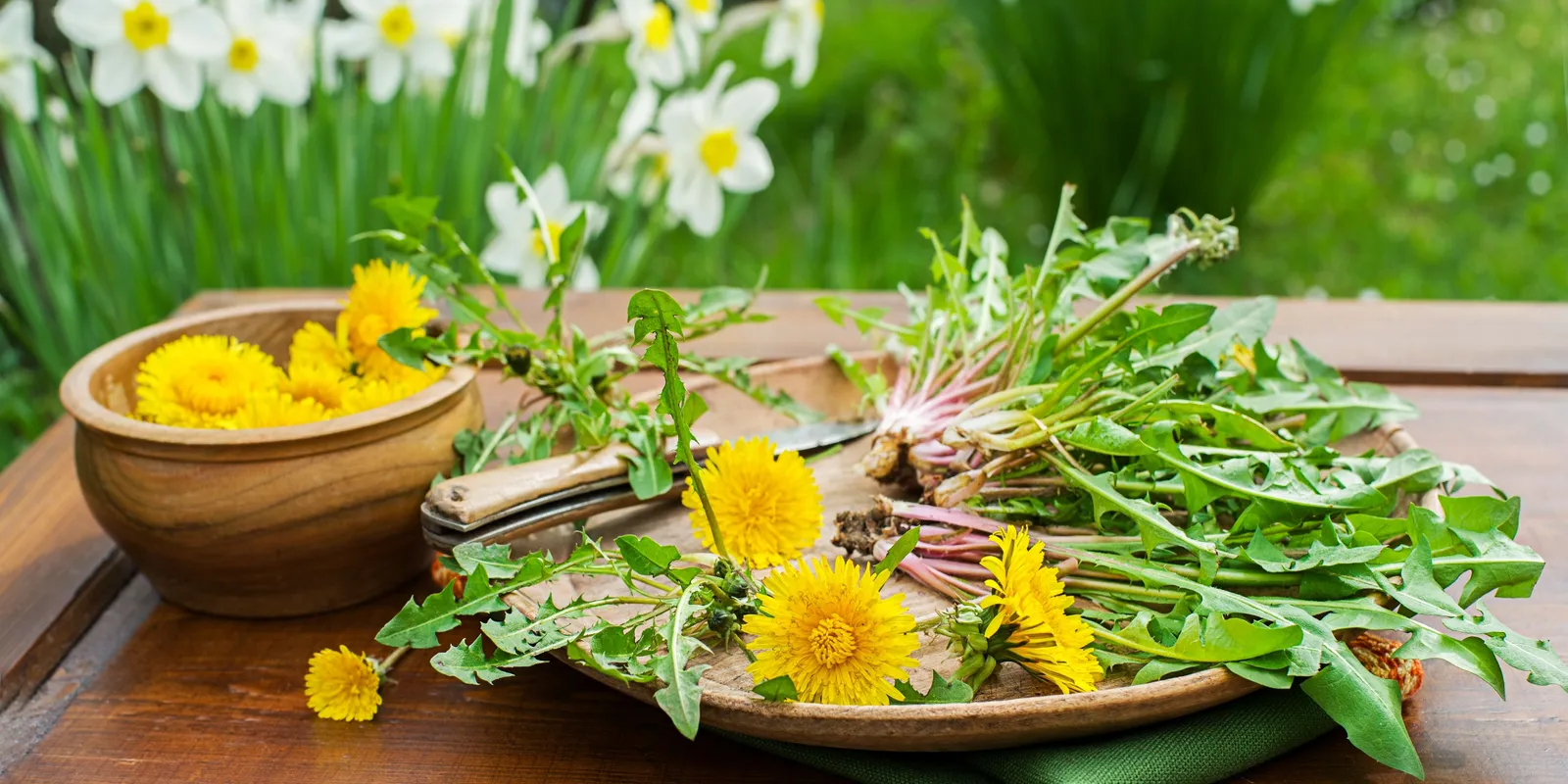 Lépésről lépésre: így készíts a pitypangból gyógyító csodát