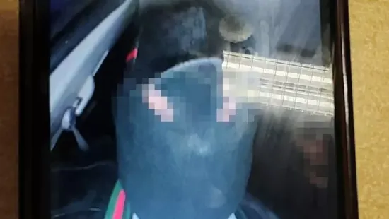 Összehangolt műveletben rabolt a símaszkos bűnbanda