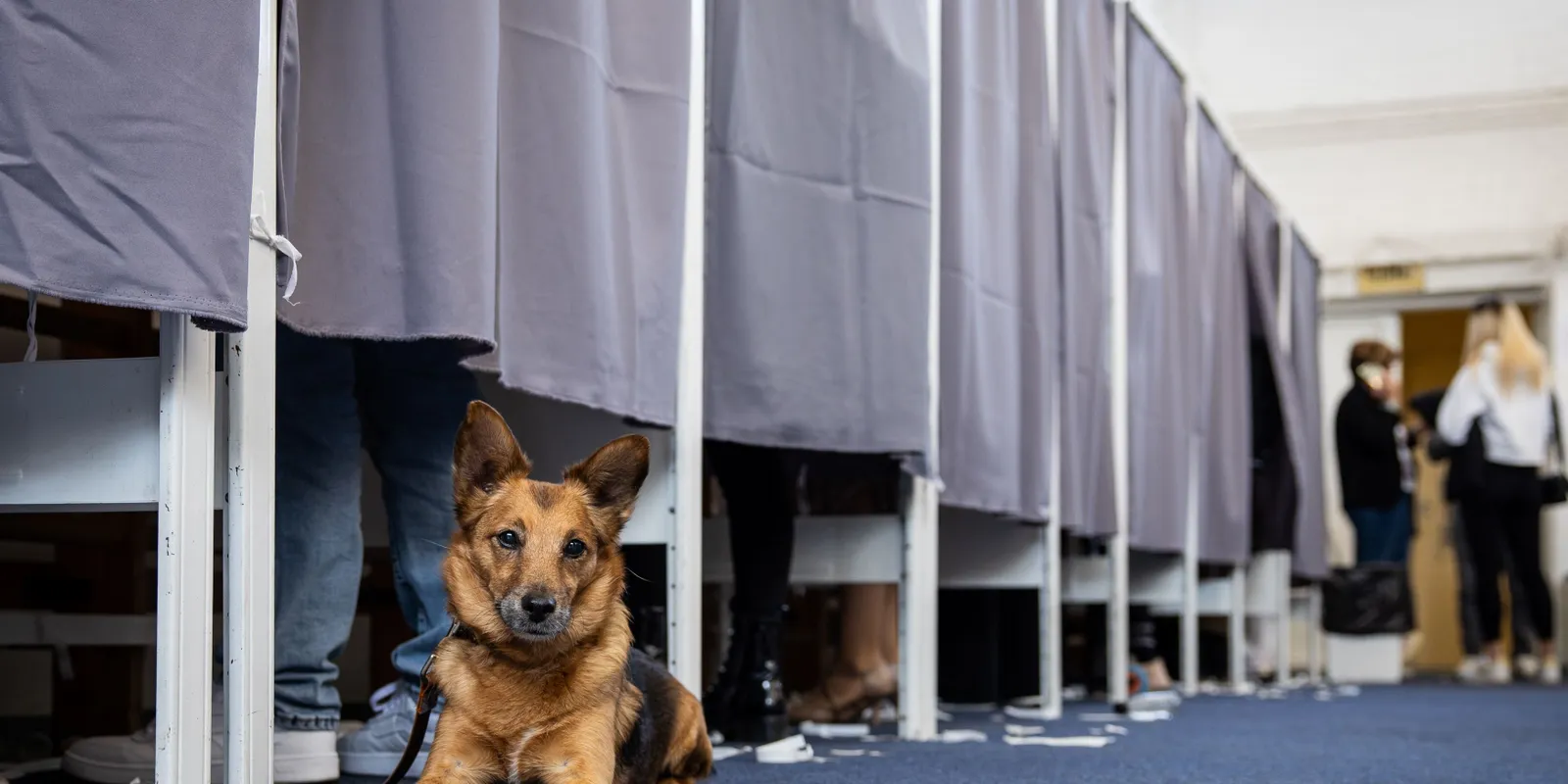 Bombariadó miatt Pécsen és Miskolcon is felfüggesztették a szavazást