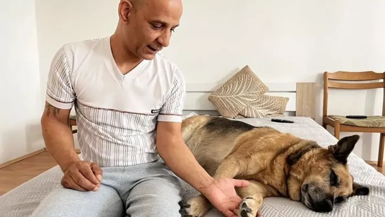  "Nekem ő a családom!" - Bajban van a hűség mintaképe, Letti kutya