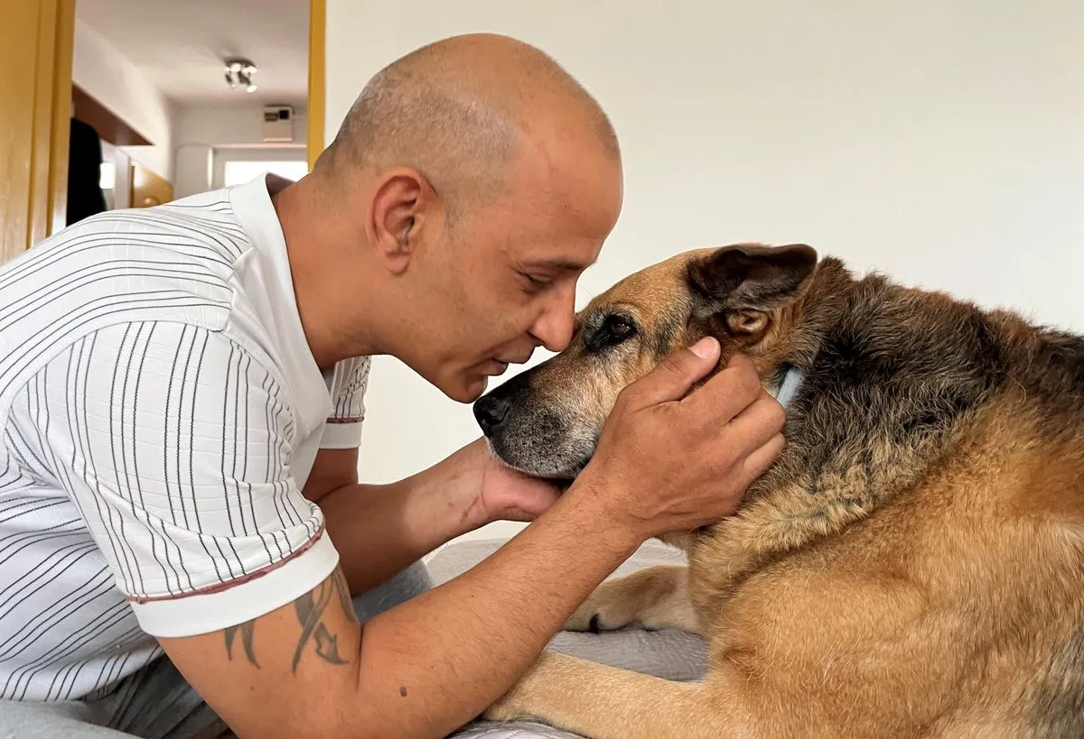 Letti a németjuhász