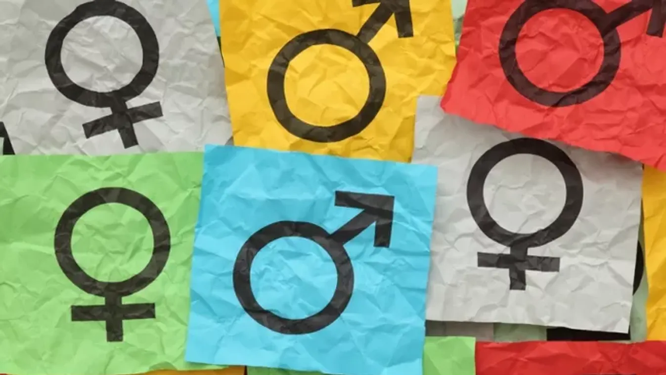 Fölhúzzák a gátat: Dőlhet a genderpropaganda!