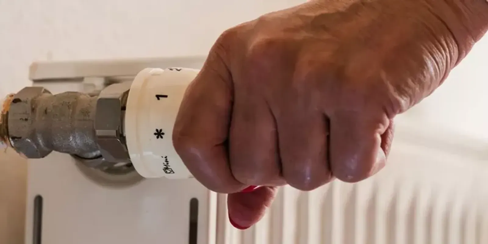 Magyar Péter tanácsadója szerint a rezsicsökkentés rossz