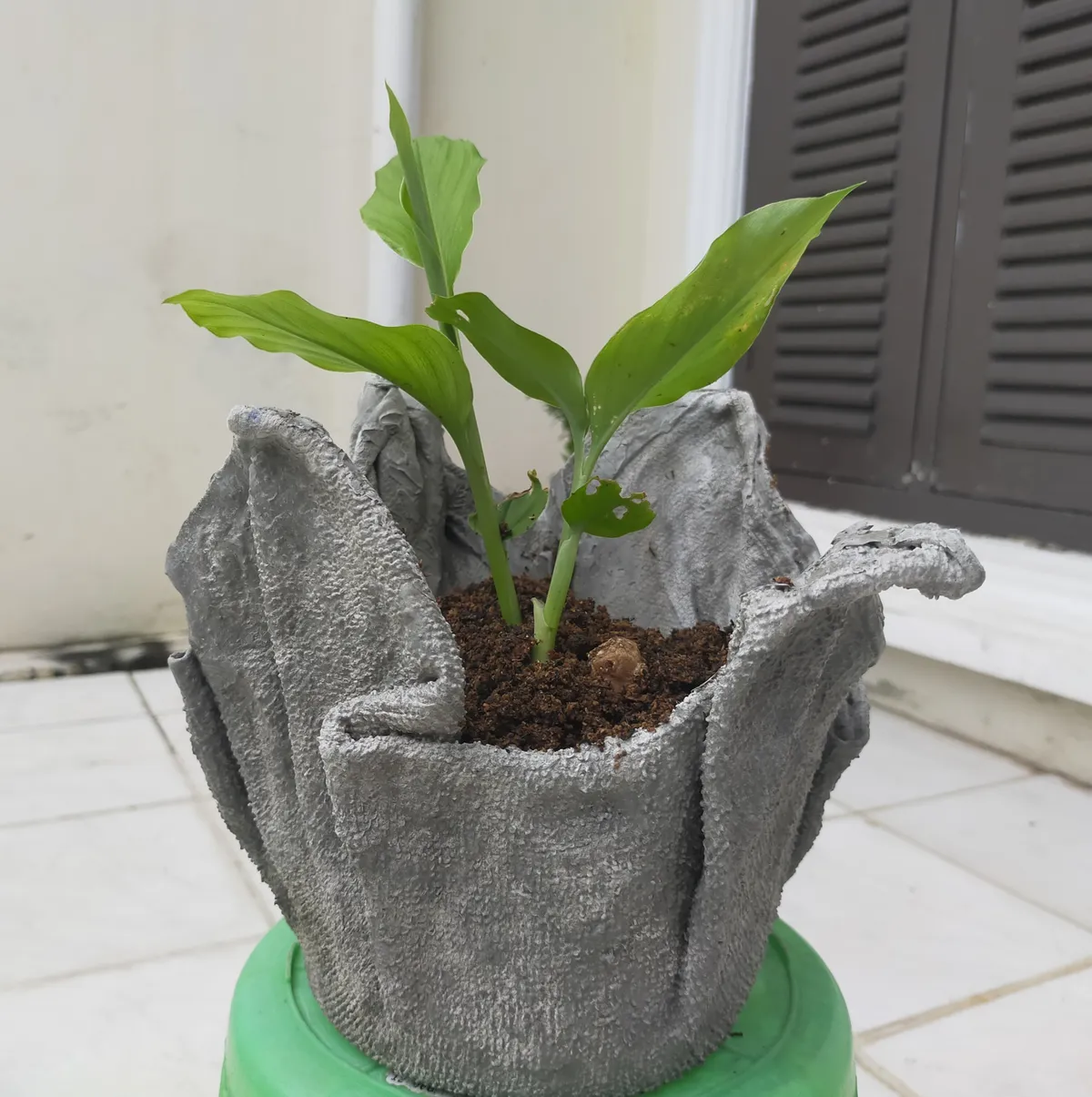 Kerti trükk: A,Plant,Inside,A,Diy,Or,Handmade,Pot,Made,From