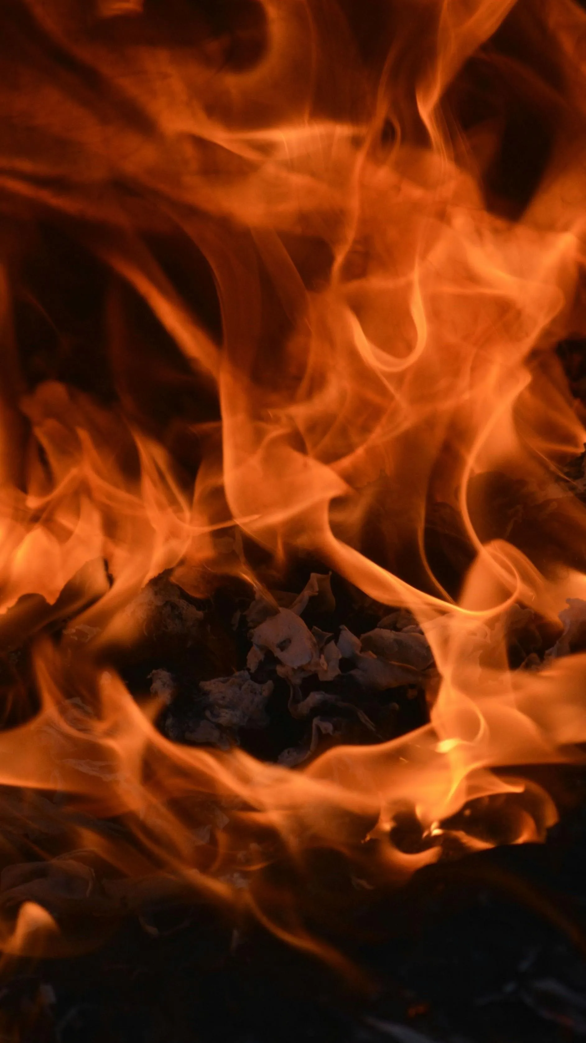 Egy huszonéves férfi erdőtüzet okozott, mert unatkozott