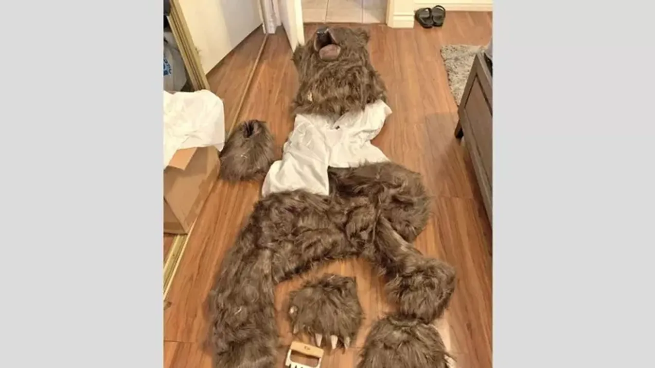 Nem vicc: medvejelmezben próbált biztosítási csalást elkövetni 3 amerikai férfi