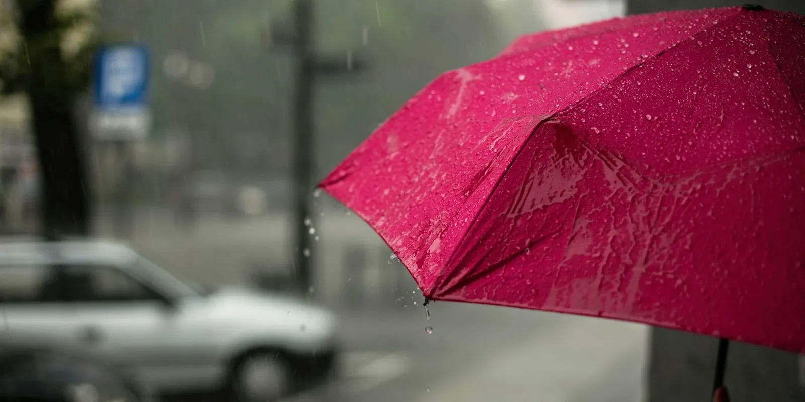 Csapadékos időjárással folytatódik a jövő hét