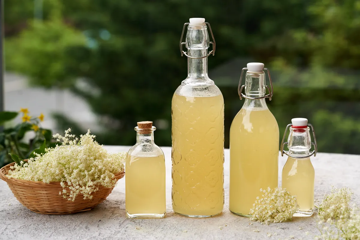 Házi bodzaszörp Several,Bottles,Of,Homemade,Elderberry,Flower,Syrup,With,Fresh,Blossoms