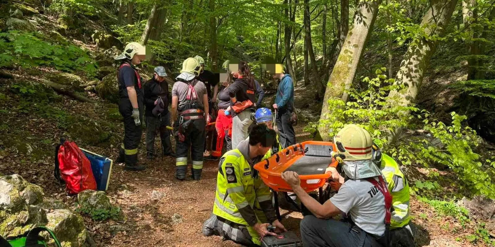 Idős asszony életét mentették meg a Pilisben