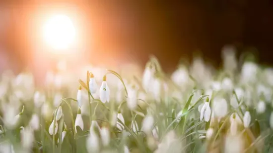 Brutálisan jó idővel robban be a húsvéti hosszú hétvége