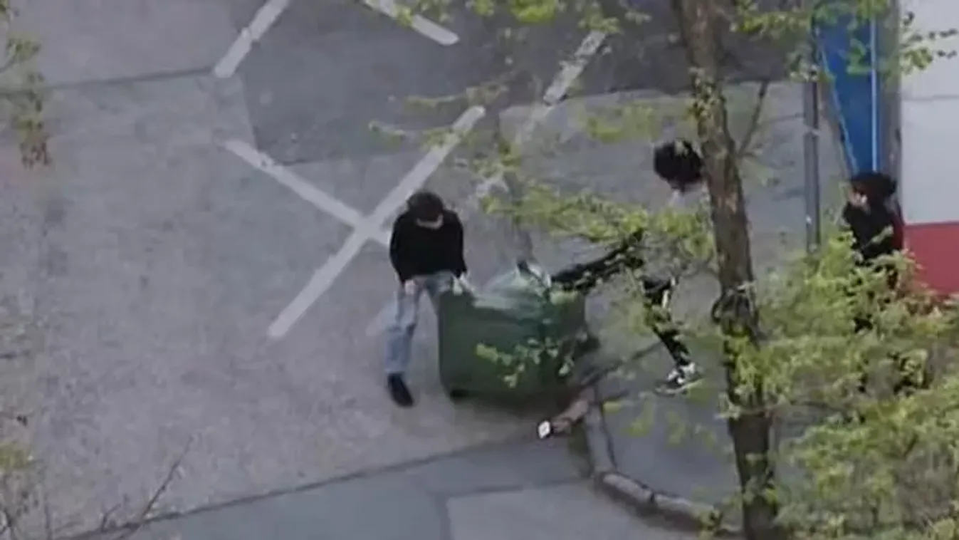 Kukákat vertek szét szórakozásból a gyerekek Albertfalván