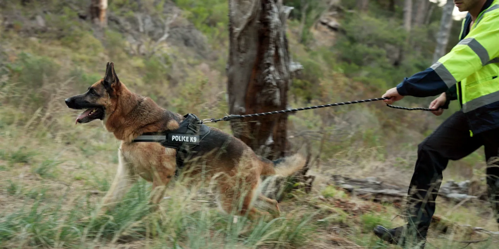 Holtan találták meg a 2 éve eltűnt Árpádot