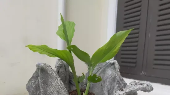 Új divat a kertben: mindenki erre használja a régi rossz törölközőt