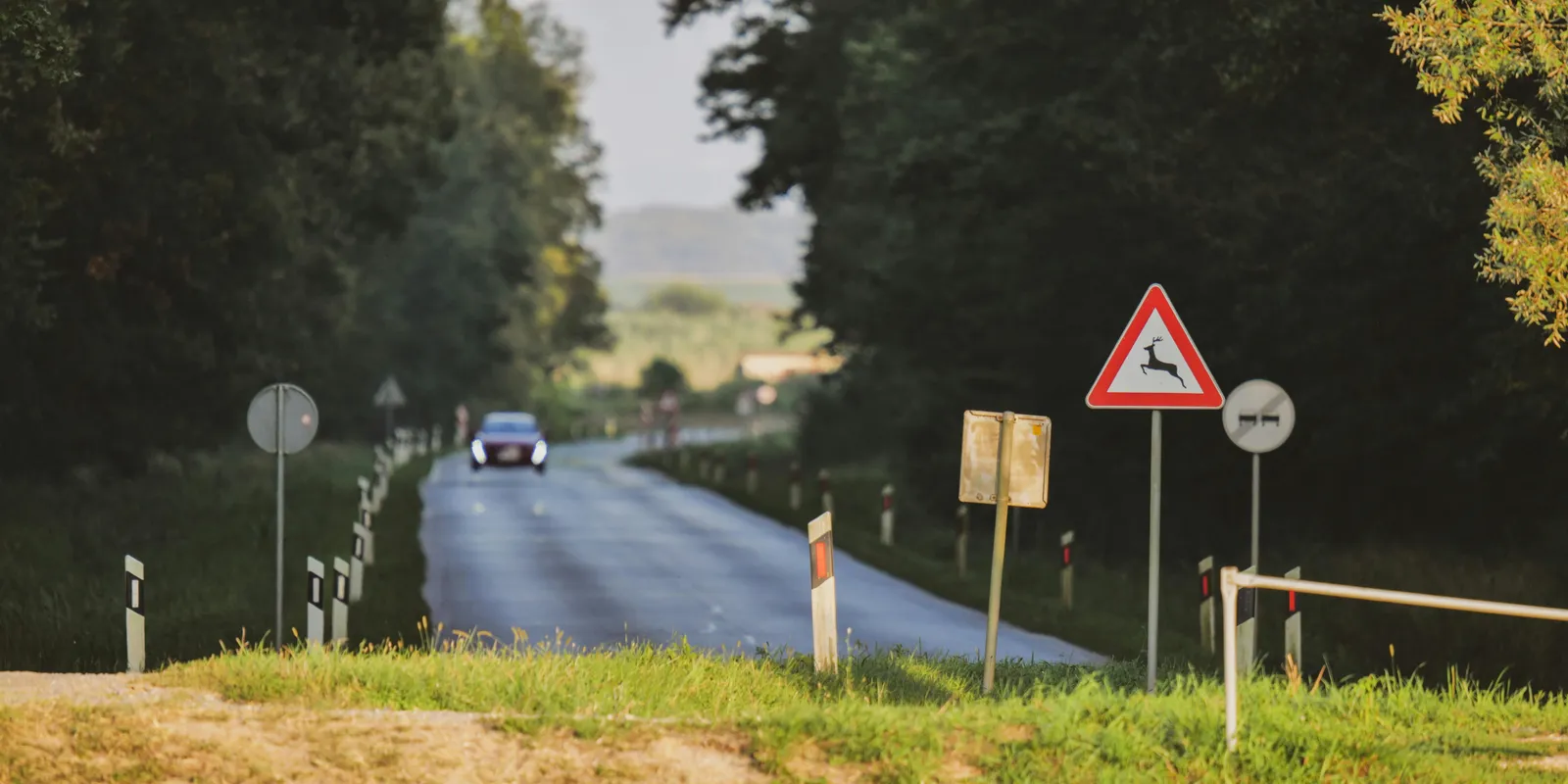 Szarvasok csúsztak-másztak a kocsik előtt Balatonfenyvesen