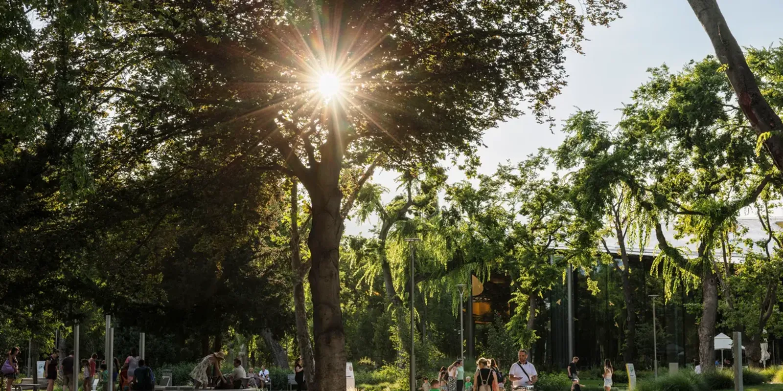 Pál Feri kíméletlen őszinteséggel kitálalt